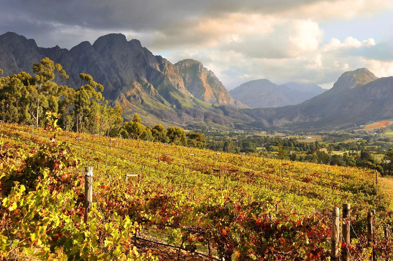 Hotel La Petite Ferme Franschhoek Zewnętrze zdjęcie